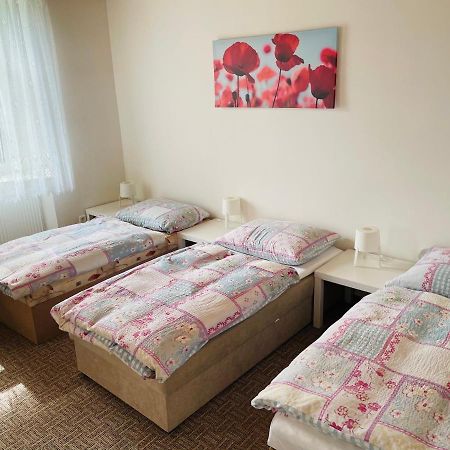 Ubytovani U Lva Zirovnice Экстерьер фото