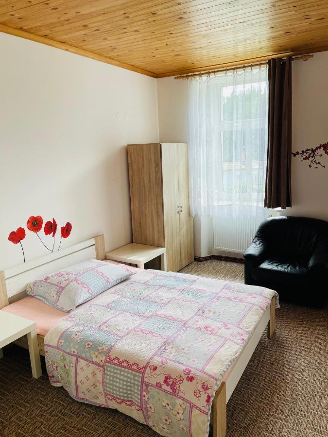 Ubytovani U Lva Zirovnice Экстерьер фото