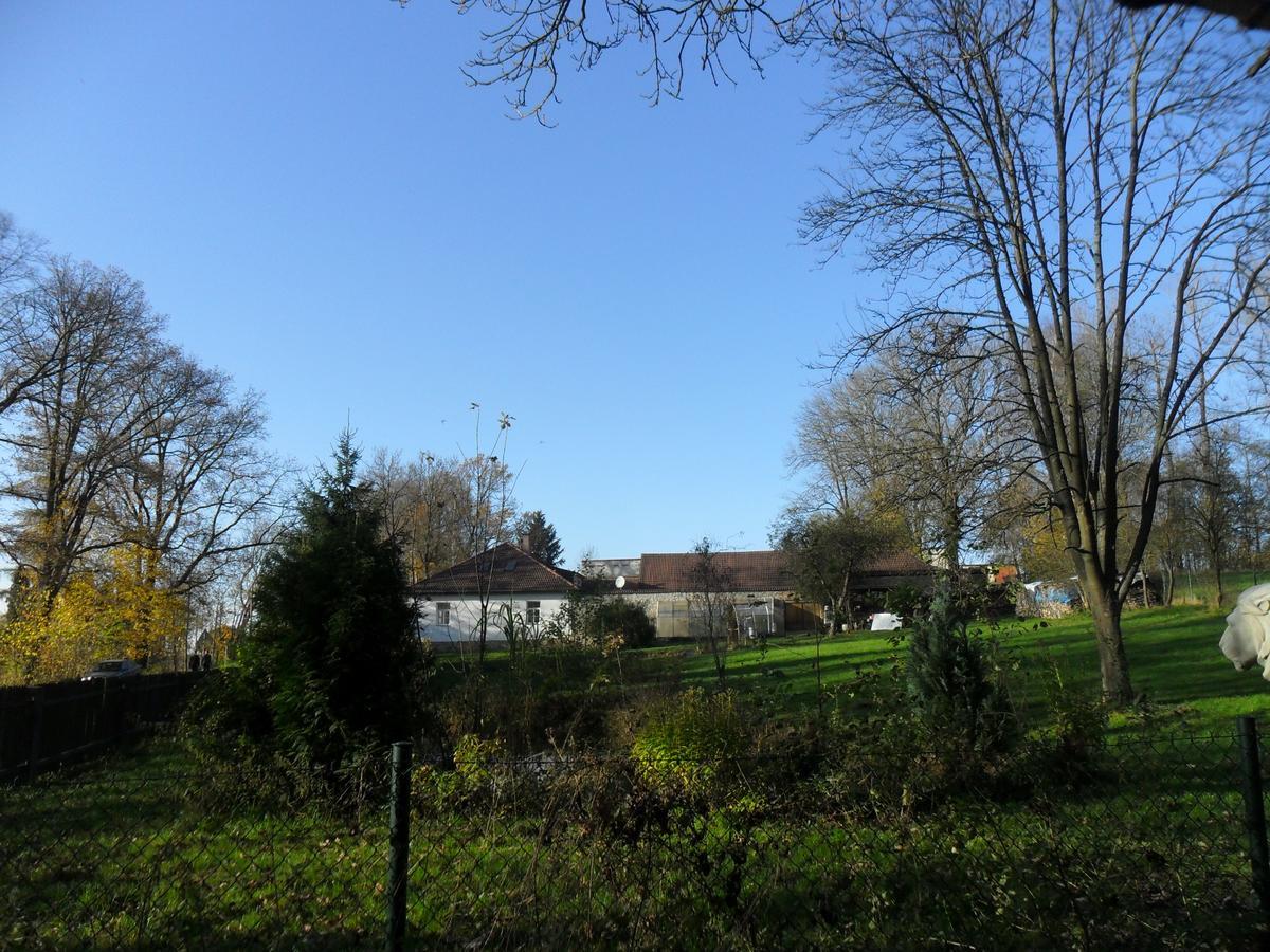 Ubytovani U Lva Zirovnice Экстерьер фото